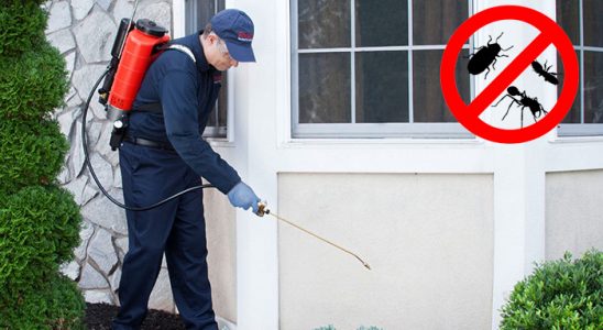 Toprakkale Dezenfeksiyon böcek ilaçlama ve haşere kontrolü — ilaclama-tr.com
